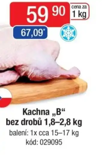 Qanto Kachna,,B" bez drobů nabídka