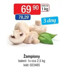 Qanto Žampiony nabídka