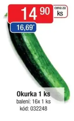 Qanto Okurka nabídka