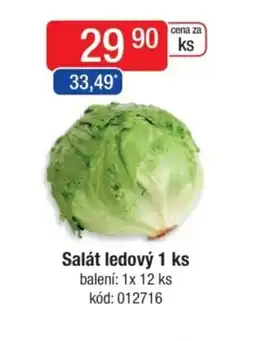 Qanto Salát ledový nabídka
