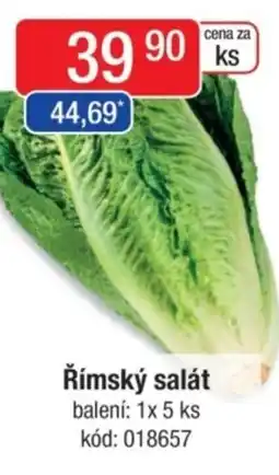Qanto Římský salát nabídka