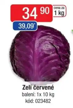 Qanto Zelí červené nabídka