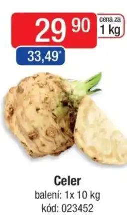 Qanto Celer nabídka