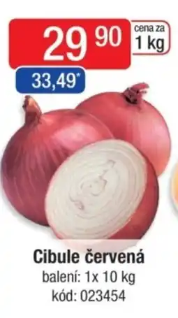 Qanto Cibule červená nabídka