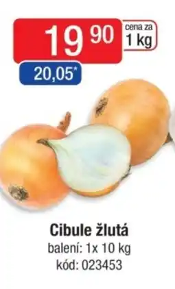 Qanto Cibule žlutá nabídka