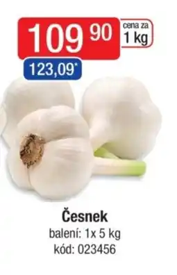 Qanto Česnek nabídka
