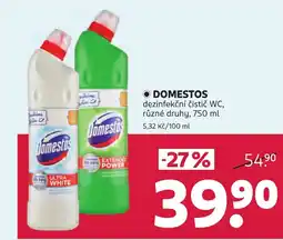 Rossmann Domestos nabídka