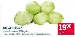 Makro Salát ledový nabídka
