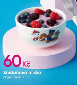 Pepco Snídaňová miska nabídka