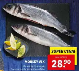Lidl MOŘSKÝ VLK, cena za 100 g nabídka
