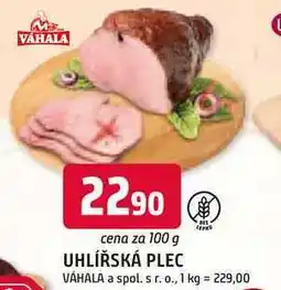 Trefa UHLÍŘSKÁ PLEC VÁHALA 100 g nabídka