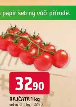 Trefa RAJČATA 1 kg větvička nabídka
