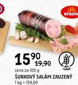 Terno Šunkový salám zauzený 100g nabídka
