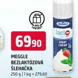 Terno Meggle Bezlaktózová Šlehačka 250g nabídka