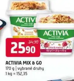 Terno Activia mix go 170g nabídka