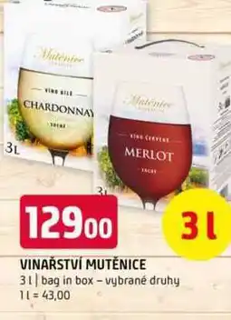 Terno Vinařství mutěnice 3l bag in box vybrané druhy nabídka
