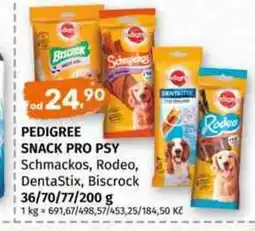 Terno Pedigree snack pro psy 36/70/77/200g nabídka