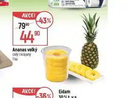 Globus Ananas velký nabídka