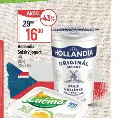 Globus Hollandia selský jogurt nabídka