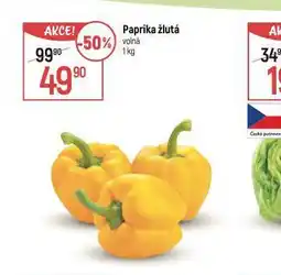 Globus Paprika žlutá nabídka