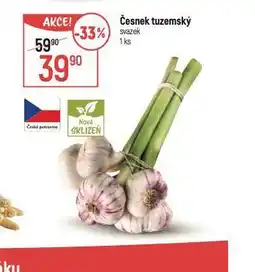 Globus Česnek tuzemský nabídka