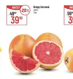 Globus Grepy červené nabídka