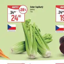 Globus Celer řapíkatý nabídka