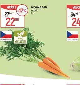 Globus Mrkev s natí nabídka