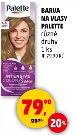 Penny Market Barva na vlasy palette nabídka
