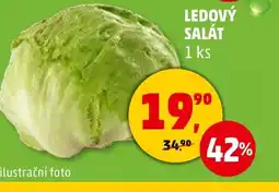Penny Market Ledový salát nabídka