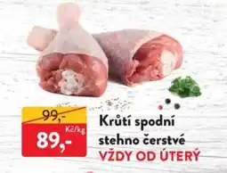 MP Krásno Krůtí spodní stehno čerstvé nabídka