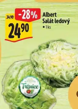Albert Albert Salát ledový 1 ks nabídka