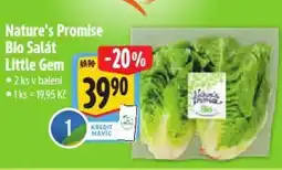 Albert Nature's Promise Bio Salát Little Gem nabídka