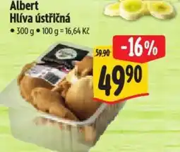 Albert Albert Hlíva ústřičná nabídka
