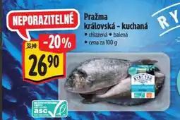 Albert Pražma královská - kuchaná nabídka