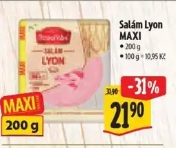 Albert Salám Lyon MAXI nabídka