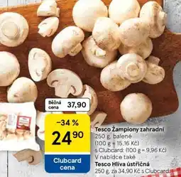 Tesco Tesco Žampiony zahradní nabídka