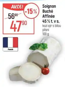 Globus Soignon Buché Affinée 45 % t. v s nabídka