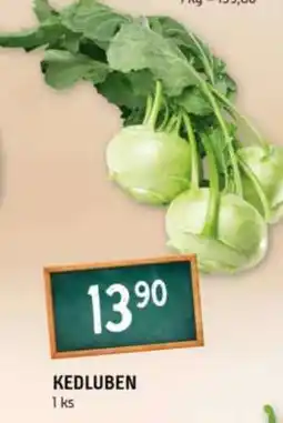 Terno Kedluben nabídka
