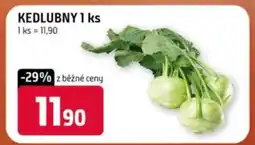 Terno Kedlubny 1 ks nabídka