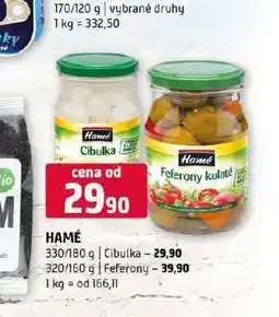 Terno Hamé cibulka nabídka