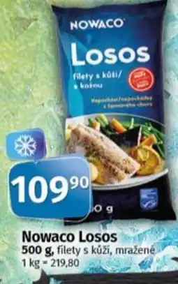 Coop Nowaco Losos nabídka