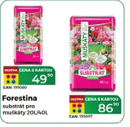 Tamda Foods FORESTINA substrát pro muškáty nabídka