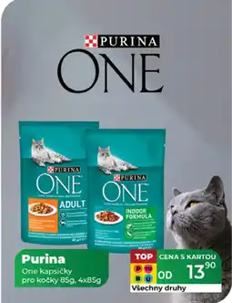 Tamda Foods PURINA One kapsičky pro kočky nabídka