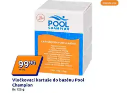 Action Vločkovací kartuše do bazénu pool champion nabídka