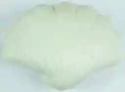 JYSK DEKORAČNÍ POLŠTÁŘ SOLROS nabídka