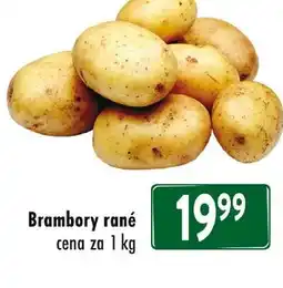 Qanto Brambory rané nabídka