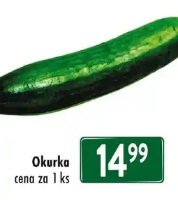 Qanto Okurka nabídka