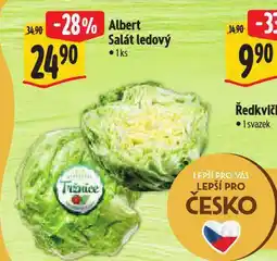 Albert Salát ledový nabídka
