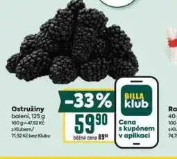 Billa Ostružiny nabídka